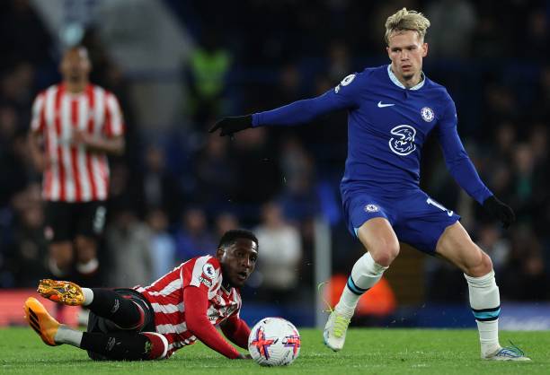 沙化治理方 沙化治理方